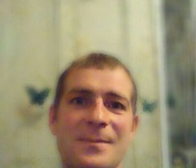 Владимирович, 46 лет, Холмогоры