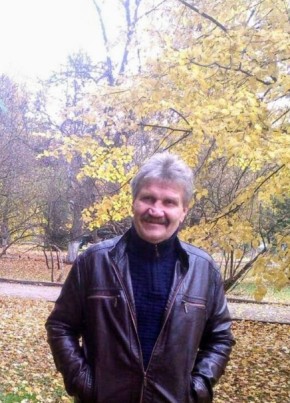 Анатолий , 63, Россия, Донской (Тула)