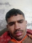 सिंधु, 18 лет, Jodhpur (State of Rājasthān)