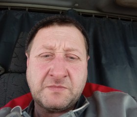Евгений, 44 года, Рубцовск