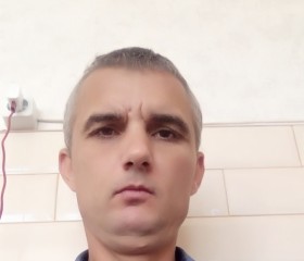Николай, 39 лет, Краснодар
