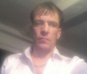 Денис, 43 года, Барнаул