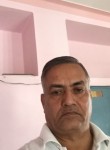 narendra swami, 57 лет, Jaipur