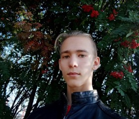 Дмитрий, 19 лет, Грязи