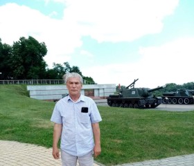 Григорий Таргоня, 64 года, Горад Гомель