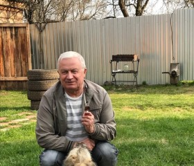 Михаил, 71 год, Калуга