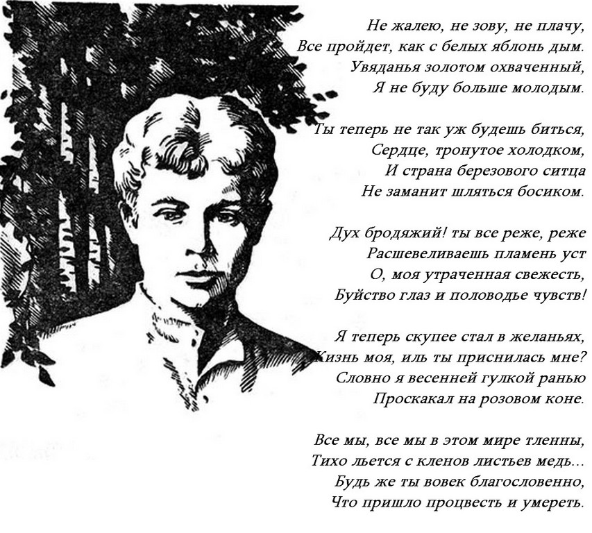 Песни не зови не приду. Стихотворение писателя Есенина. Не жалею не зову не плачу Есенин. Стихи Есенина.