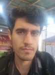 ALIREZA, 23 года, تِهران