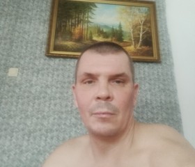 Александр, 44 года, Междуреченск
