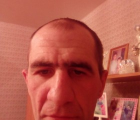 Денис, 40 лет, Белово