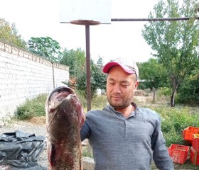 Боходир Усмонов, 43 года, Toshkent