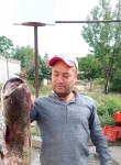 Боходир Усмонов, 43 года, Toshkent