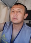 Bauirjan, 32  , Tashkent