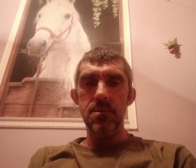 Максим Зверев, 48 лет, Нижний Новгород