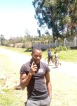 koech, 31 год, Eldoret