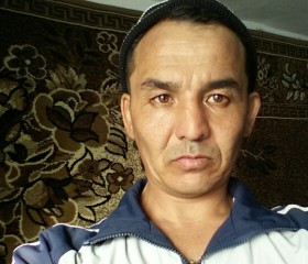 Жанат, 49 лет, Талды - Курган