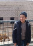 Zarif, 27 лет, Toshkent