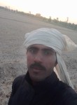 Ali imran, 28 лет, ٹوبہ ٹیک سنگھ