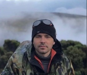 Kot, 37, Toronto