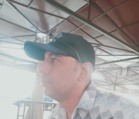 هاني احمد, 42, Tanda