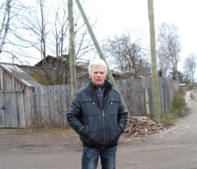 Вячеслав, 71 год, Буй
