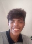Luiz, 19 лет, Joinville