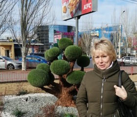 Елена, 63 года, Волгоград