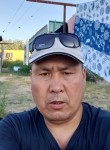 Касым, 44 года, Бишкек