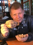 Oleg, 49 лет, Казань