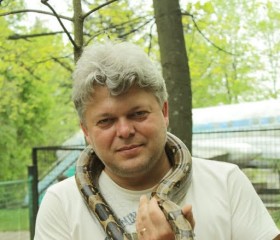 Олег Остапенко, 47 лет, Rakvere