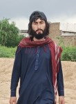 Zeeshan Afridi, 19 лет, پشاور
