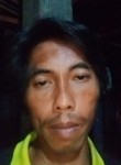 Saripudin, 18 лет, Djakarta