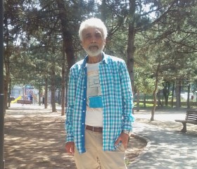 Ahmet, 66 лет, Bursa
