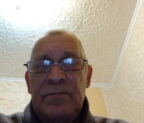 Сергей Шамин, 69 лет, Троицк (Челябинск)