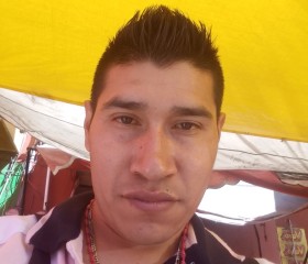Sánchez javier, 37 лет, México Distrito Federal