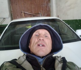 Андрей, 42 года, Мамонтово