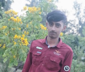 hamad chaudhary, 21 год, Amritsar