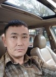 Жакшылык Tokmok, 37 лет, Бишкек
