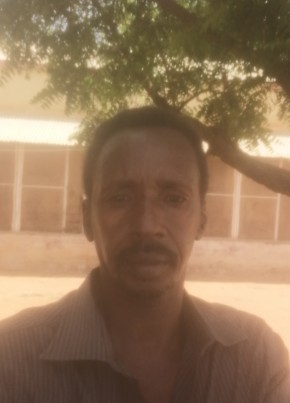 محمد عثمان حامد, 52, السودان, خرطوم