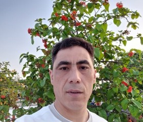 Alimzhanov, 42, Vladimir