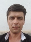 Бегзад, 37 лет, Шымкент