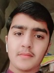 Zaid Bhatti, 19 лет, گوجرانوالہ