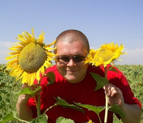 Evgeniy, 47, Rybinsk