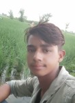 Akash Thakur, 19 лет, Delhi