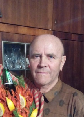 Владимир Рыжих, 74, Россия, Задонск