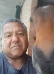GustavoBalverde , 53 года, San Lazzaro di Savena