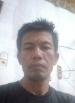 Budi Sunardi, 53 года, Kota Medan