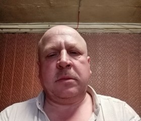 Николай, 47 лет, Серпухов