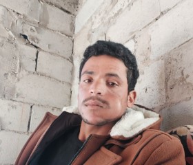 Fars alhag, 31 год, صنعاء