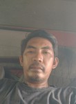 Arman, 41 год, Kota Bandar Lampung